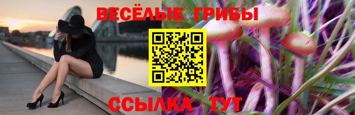 Галлюциногенные грибы Psilocybine cubensis Оренбург